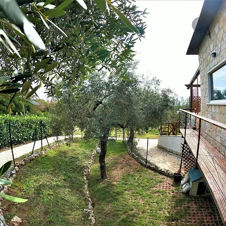 Recidence Olivia Tatil Evi