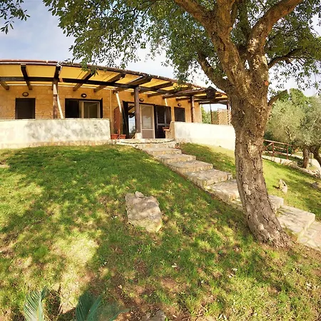 Tatil Evi Recidence Olivia